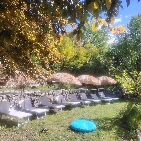 Domaine Des Petites Soeurs A 800M Du Centre Historique Avec 5200M2 De Parc Arbore Vence Buitenkant foto