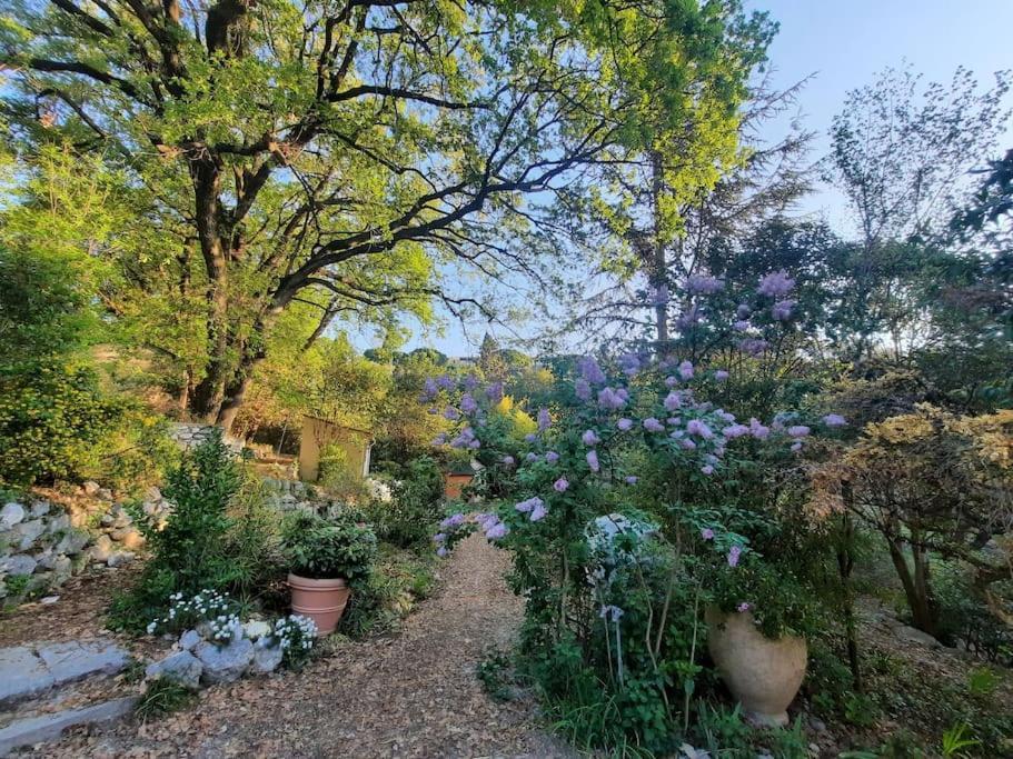 Domaine Des Petites Soeurs A 800M Du Centre Historique Avec 5200M2 De Parc Arbore Vence Buitenkant foto